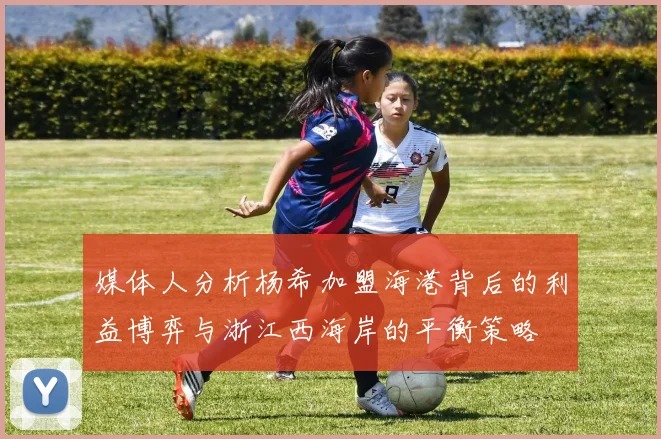 媒体人分析杨希加盟海港背后的利益博弈与浙江西海岸的平衡策略